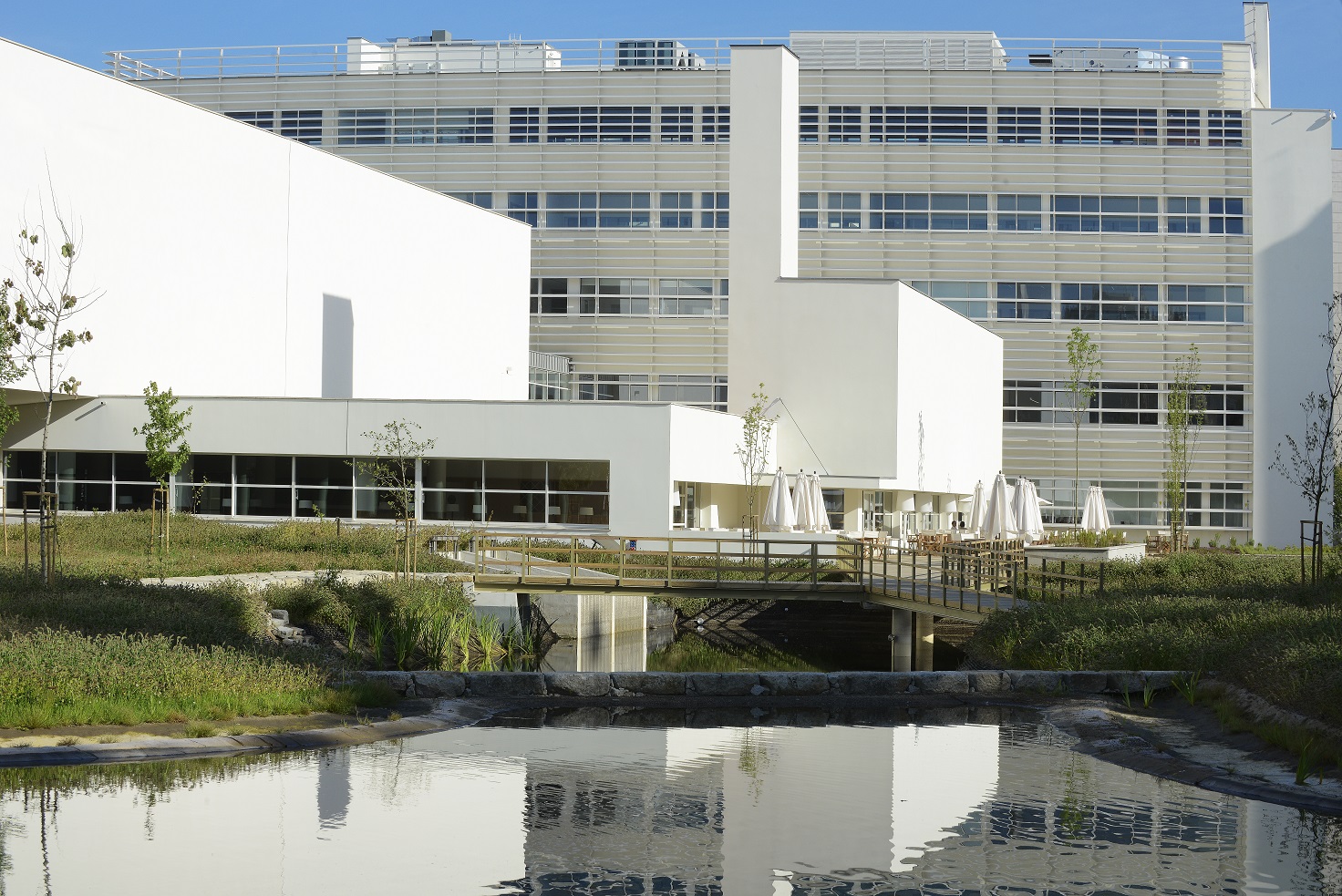 Porto Business School reforça Marketing Management com IA – Silicon Portugal